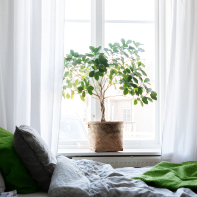 Sälja bostad med mäklare Lena Ström Fastighetsbyrå