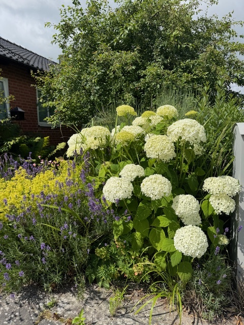 Säljarens bild