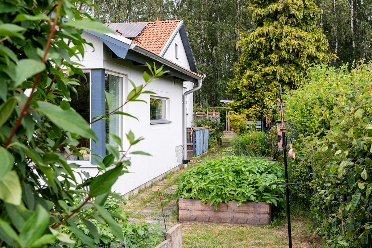 Trädgård