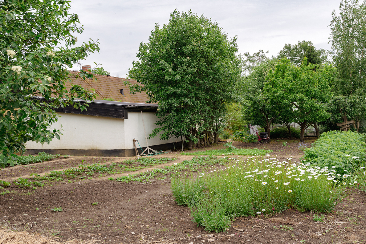 Köksträdgård Köksträdgård