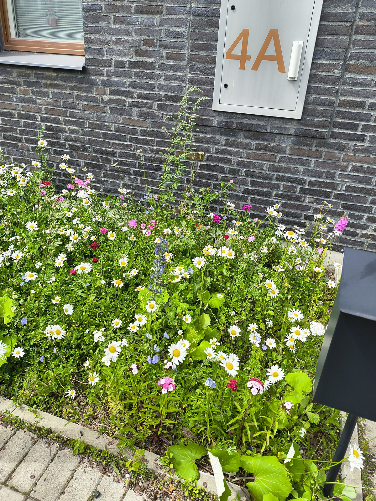 Säljarbild, blomsterbädd vid entrén