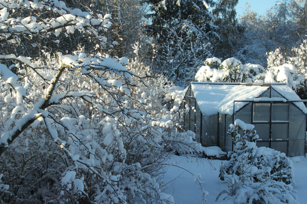 Säljarbild, vinterskrud