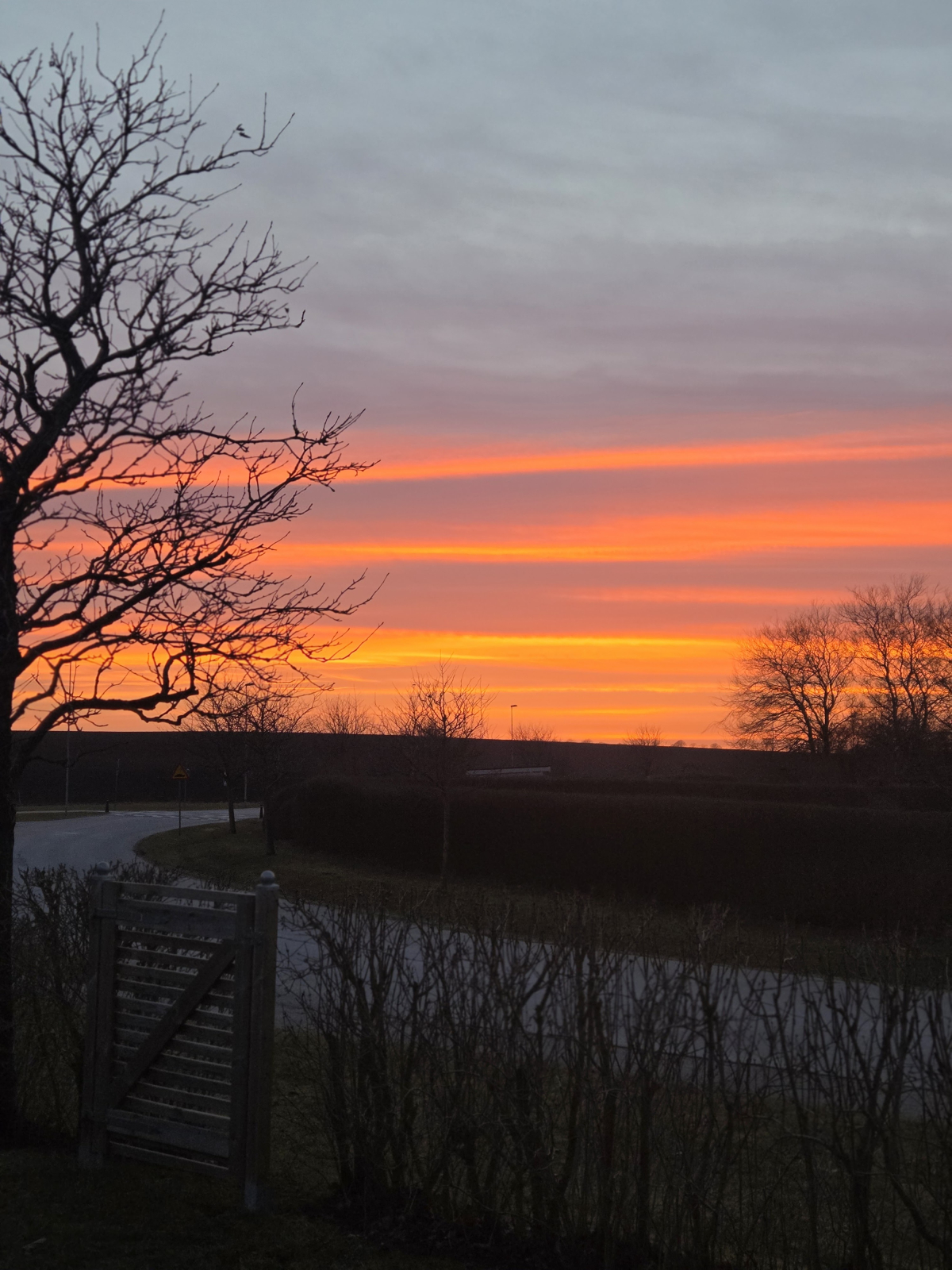 Säljarens bild