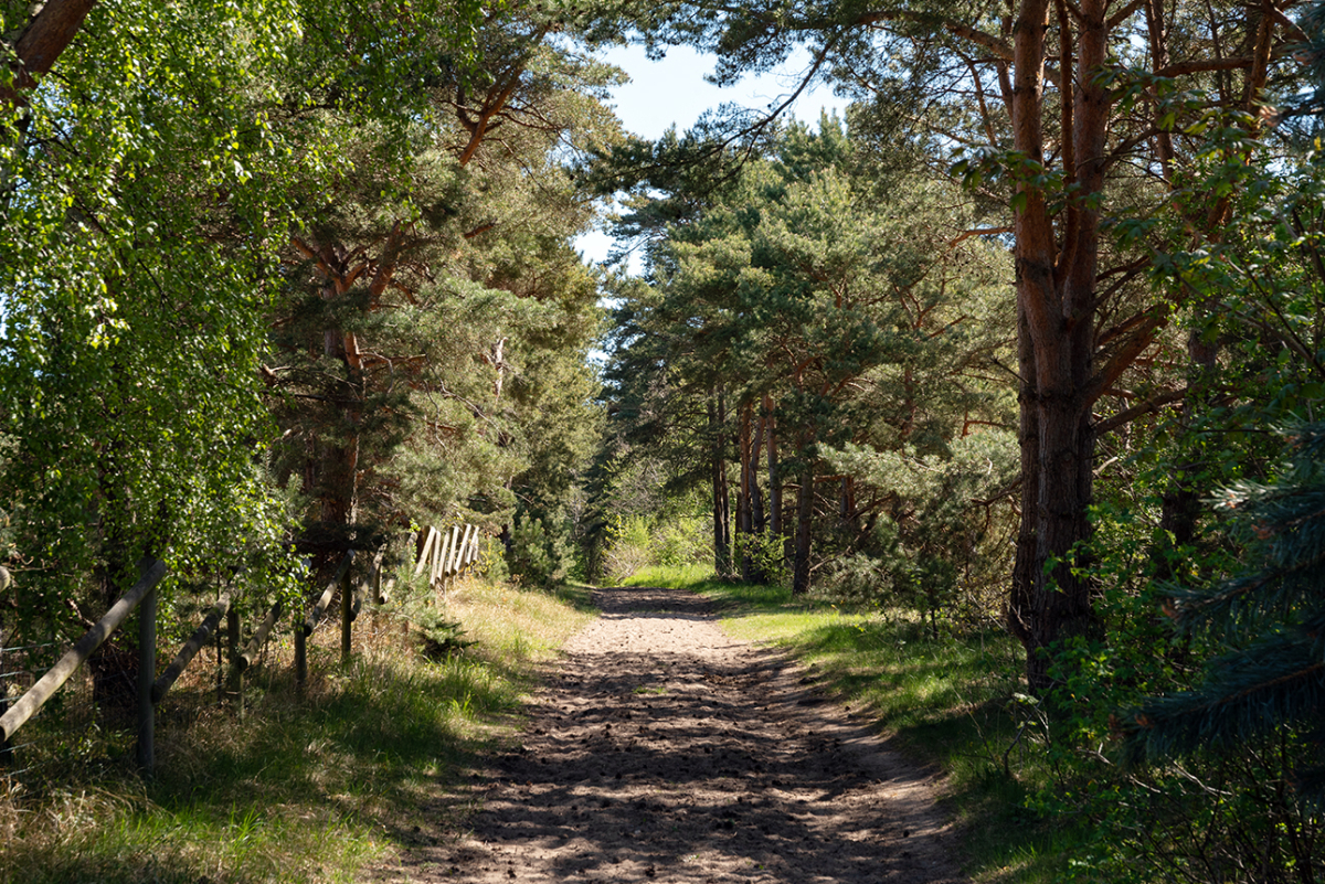 Underbar ridmiljö