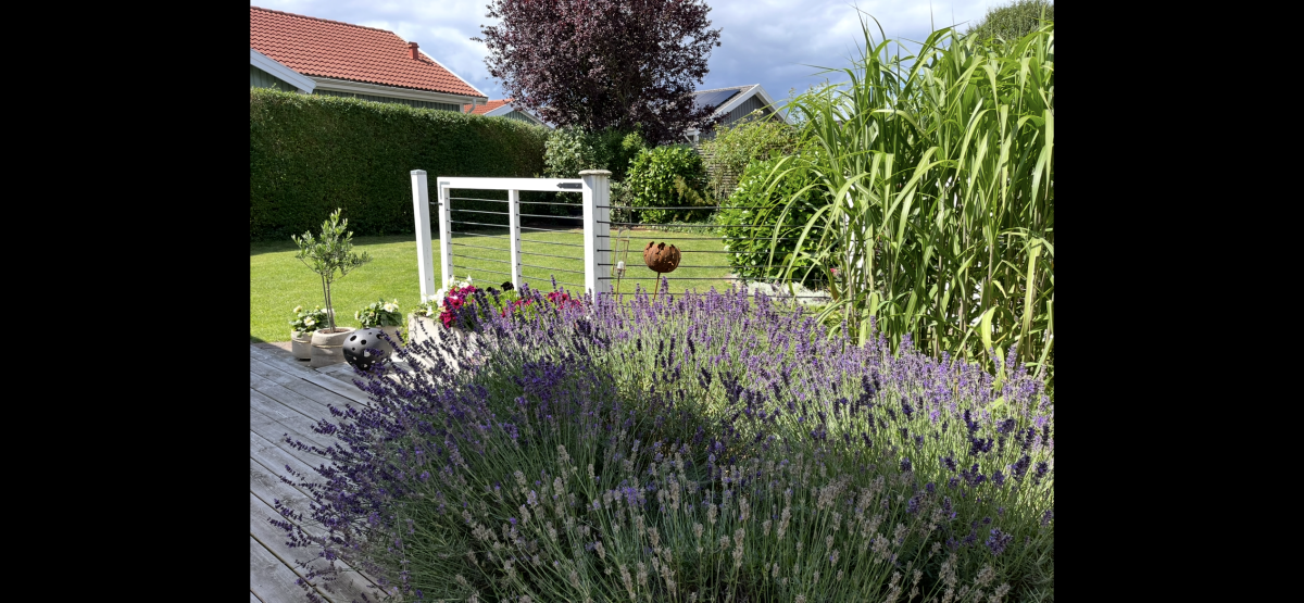 Säljarbild