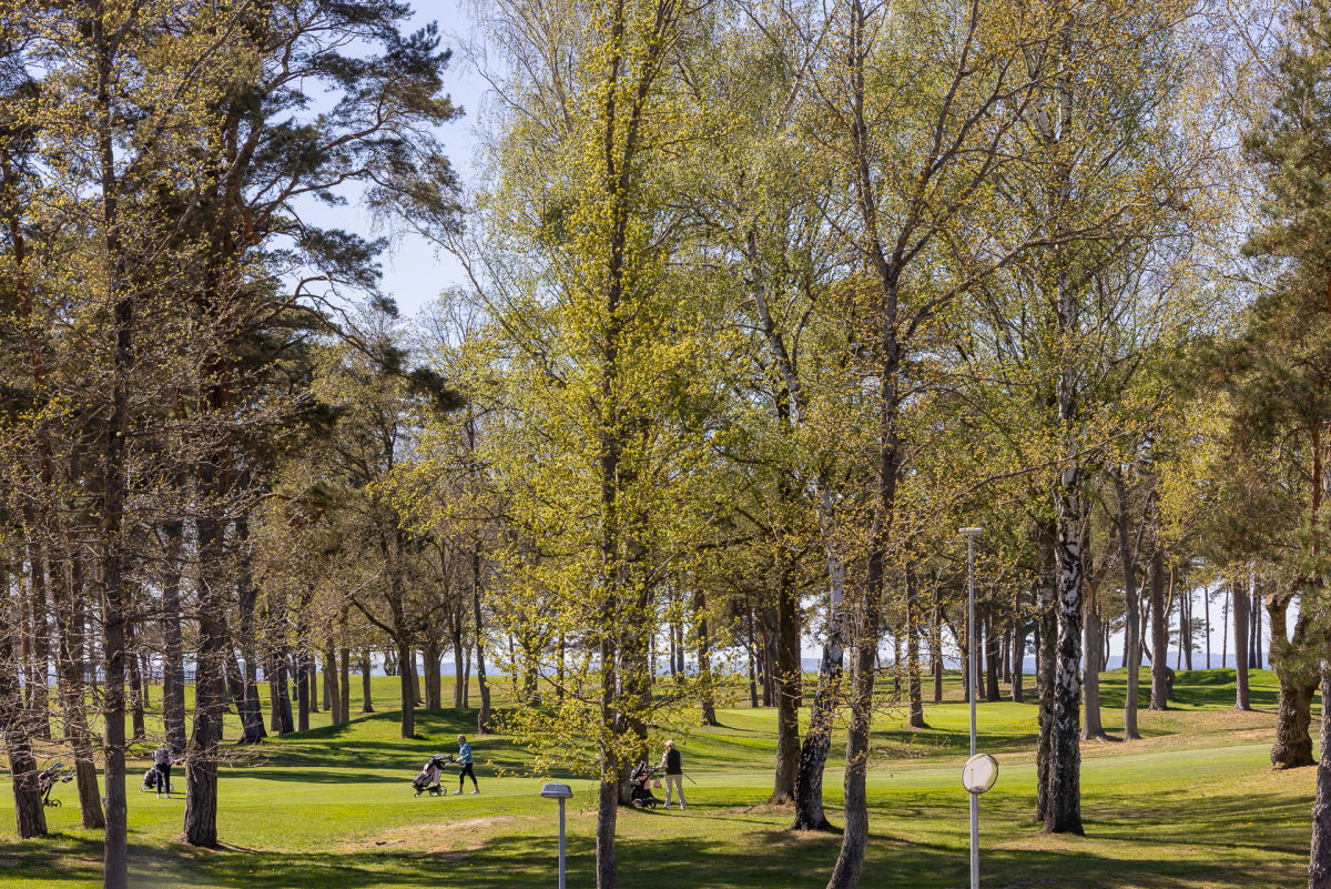 Närområde