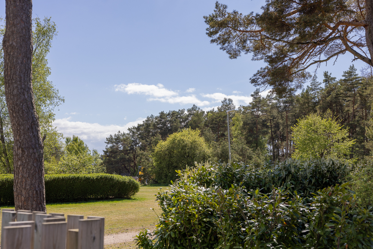 Närområdet