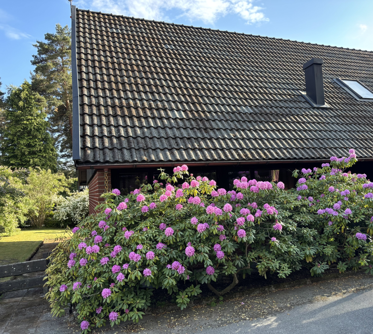 Säljarbild