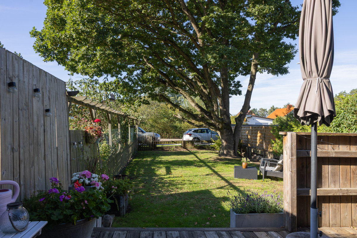 Trädgård