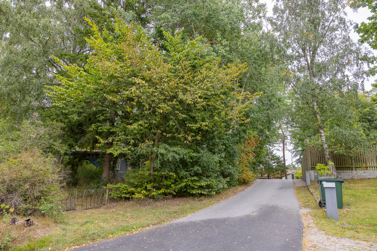 Fastigheten till vänster i bild där man anar fritidshuset genom växtligheten