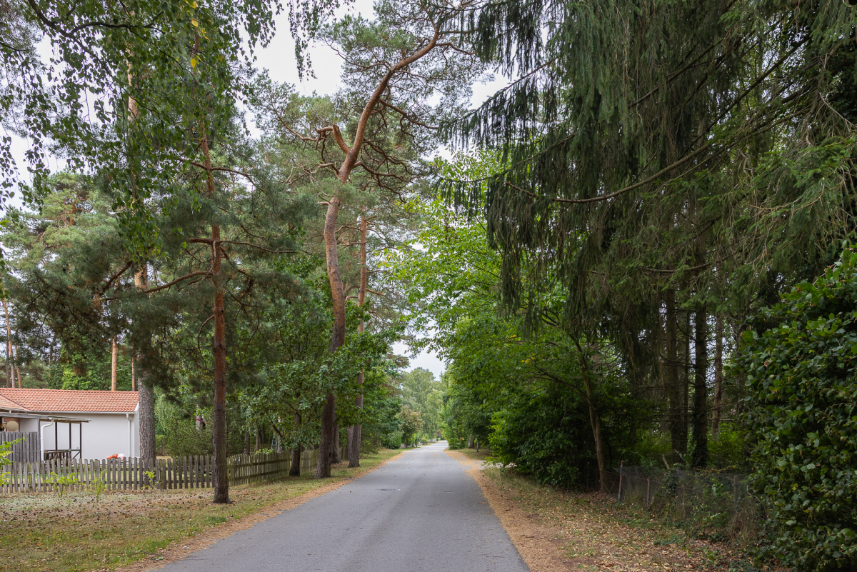 Bilden beskriver känslan i området väl; här är naturen nära