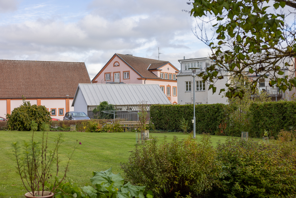 Föreningens grönyta